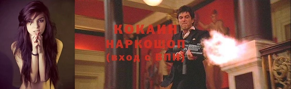 СК Осинники