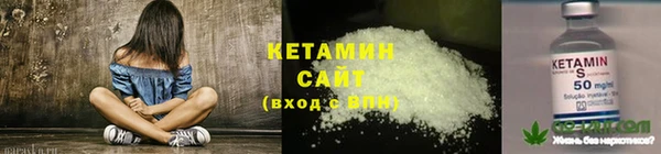 apvp Няндома