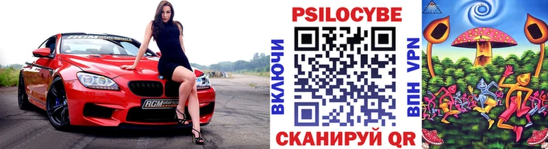 ссылка на мегу как зайти  Приволжск  Псилоцибиновые грибы Magic Shrooms 